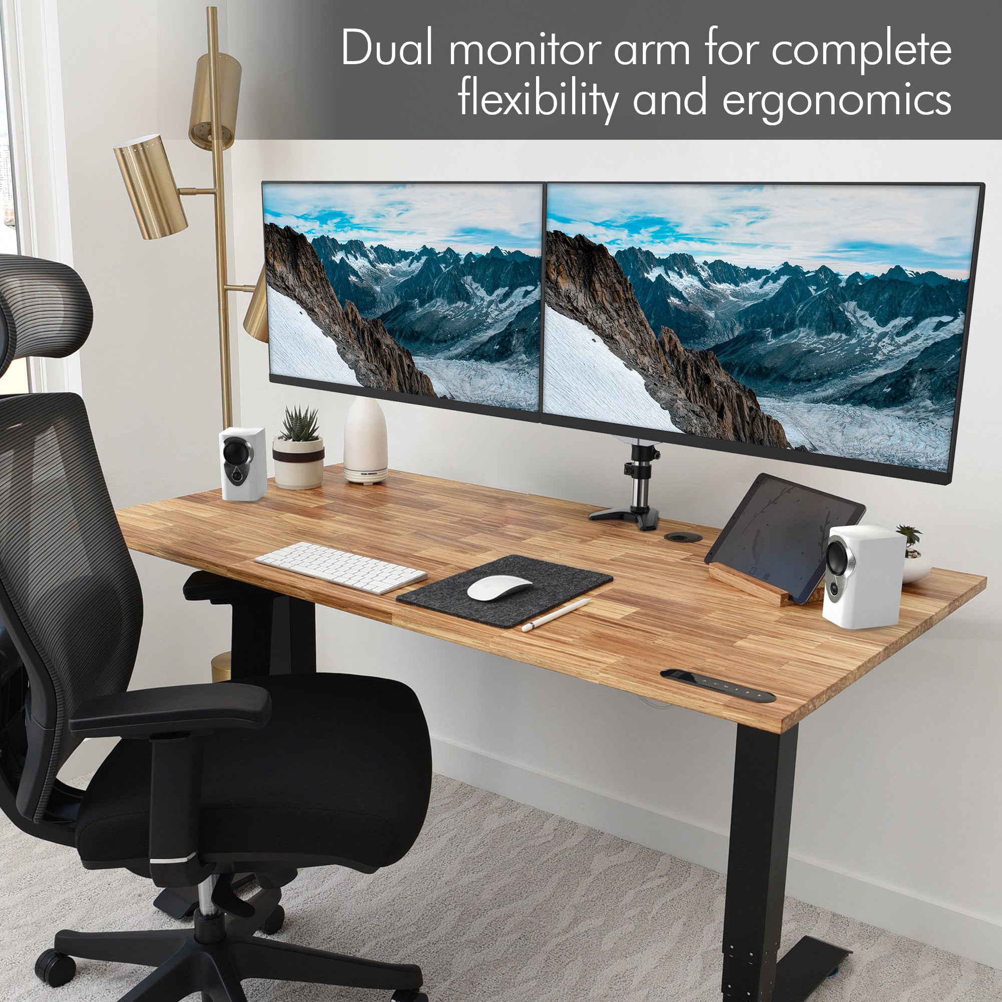 Double Monitor Arm Desk Mount