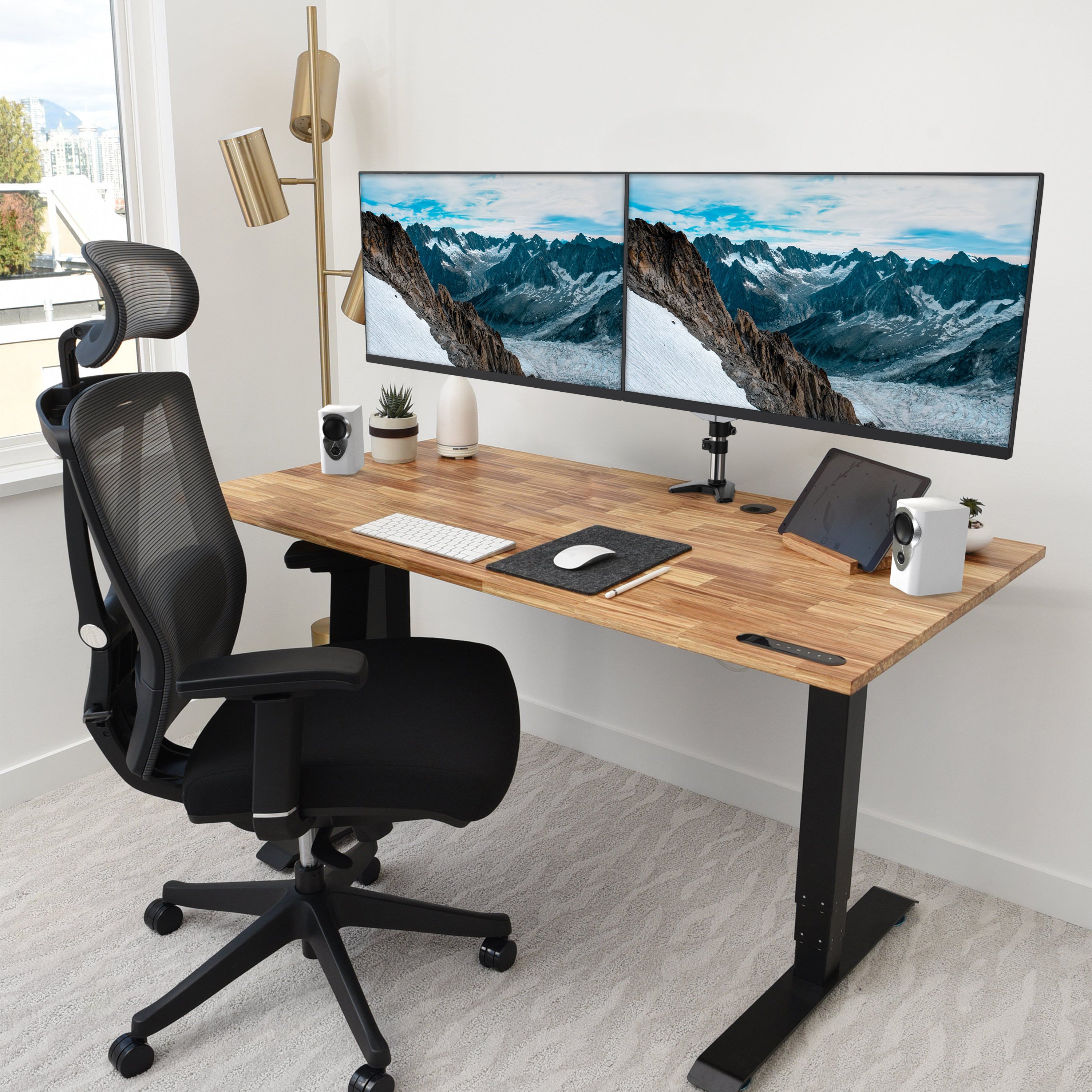 Double Monitor Arm Desk Mount
